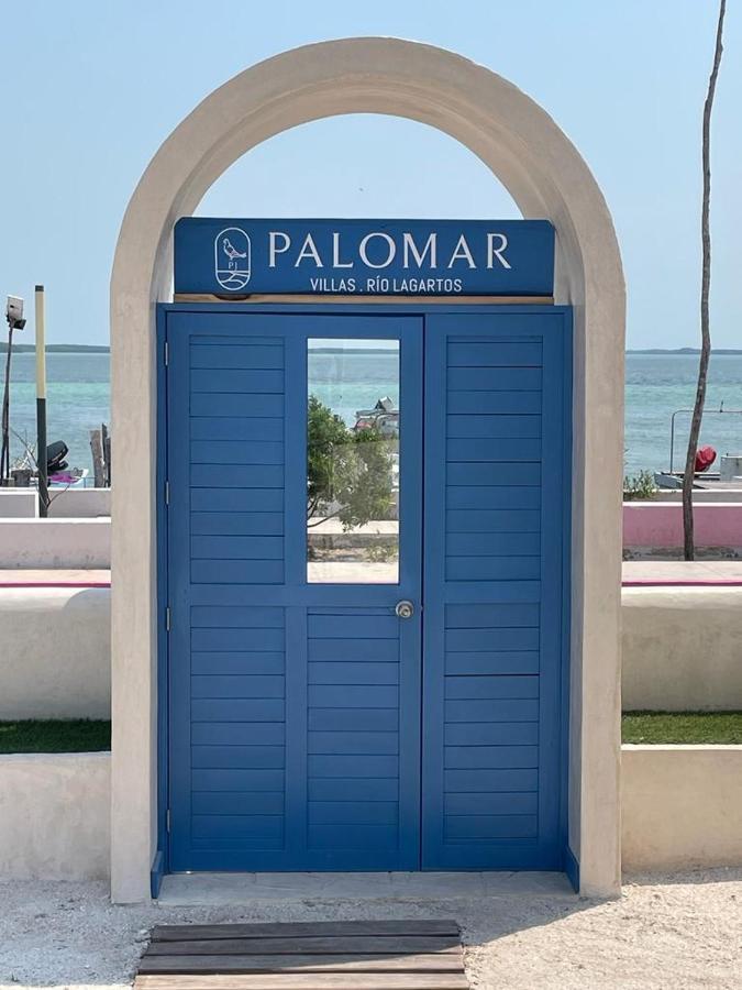 Palomar Villas Rio Lagartos Ngoại thất bức ảnh