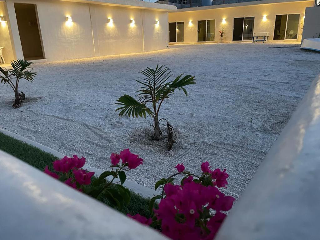 Palomar Villas Rio Lagartos Ngoại thất bức ảnh